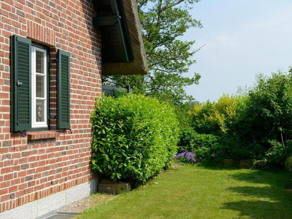 Wildrose Ferienhaus Boltenhagen  Eksteriør billede